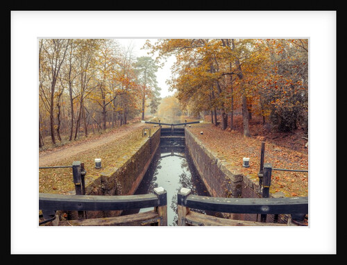 Canal through forest by Assaf Frank